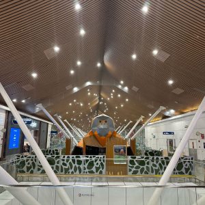 WhatsApp Image 2025-02-18 at 03.33.52