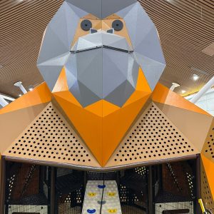 WhatsApp Image 2025-02-18 at 03.33.59