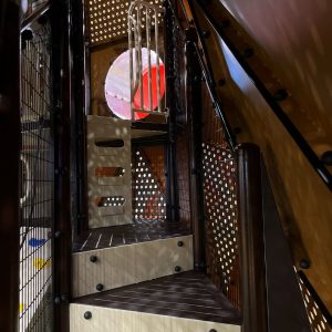 WhatsApp Image 2025-04-16 at 12.17.33