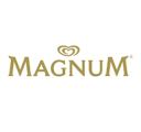 03_FS_MAGNUM