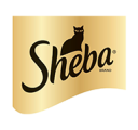 03_PC_SHEBA