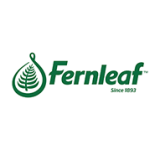 04_NnO_FERNLEAF